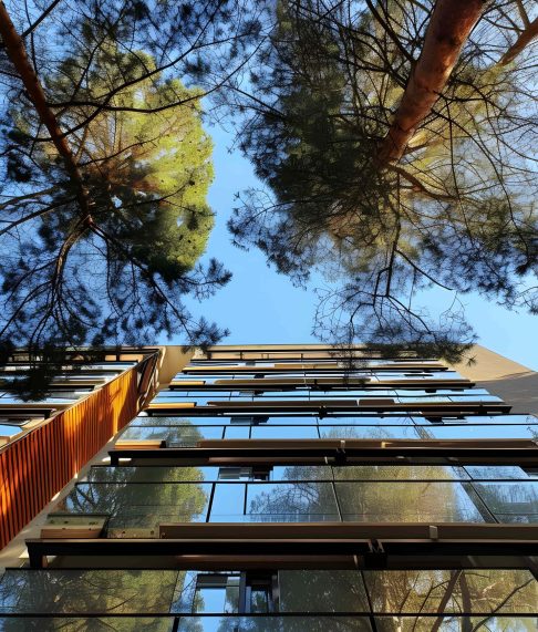 low-angle-perspective-tree-with-beautiful-canopy-min (1)